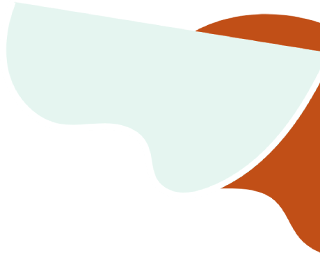 shape11